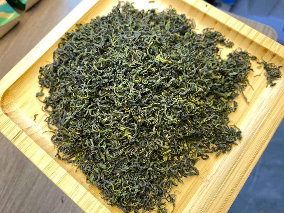 秋白露2024年日照绿茶浓香型板栗香-晚秋茶