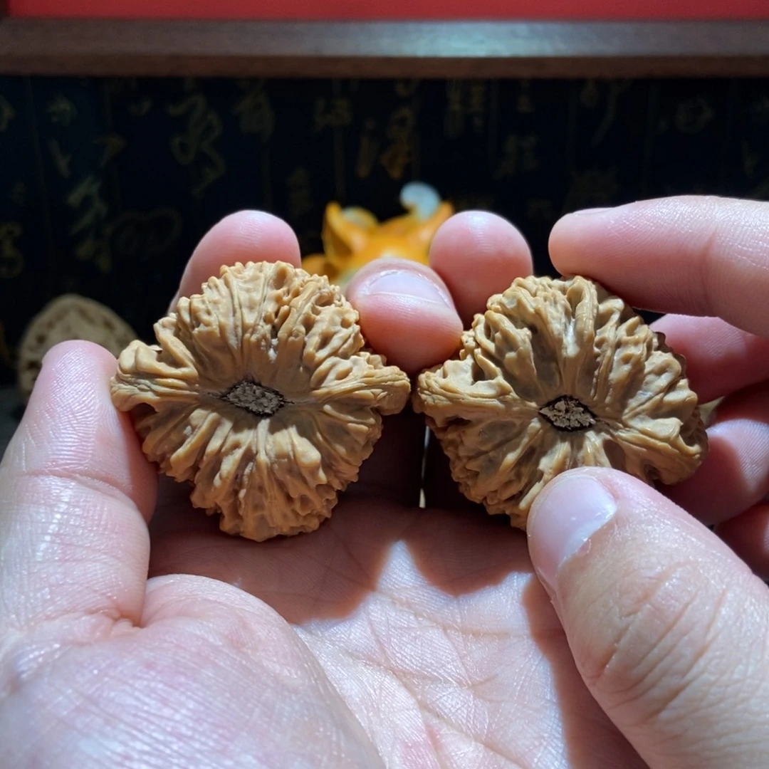 鹿***溪文玩核桃把件涿鹿南将石