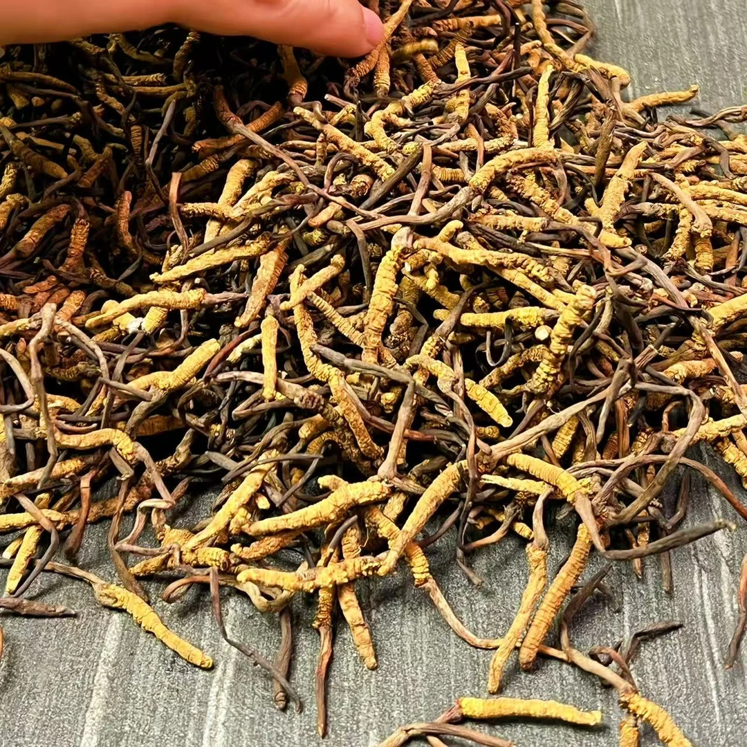 【冬虫夏草】品质打粉货（营养不变）自然晒干 品质滋补实拍图