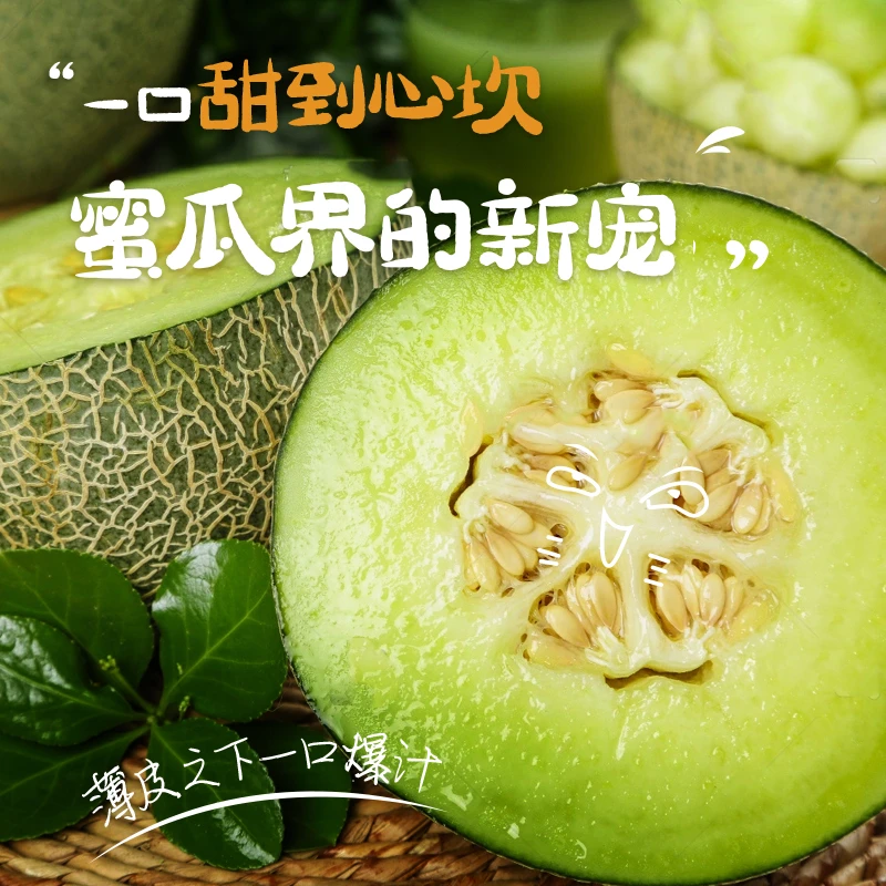 【一藤一瓜】沙地玫珑瓜静冈蜜瓜新鲜采摘水果产地直发当季新鲜水果