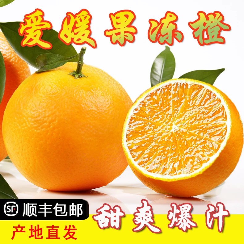 爱媛果冻橙38号爆汁橙子当季新鲜水果皮薄橘子包邮产地直发整箱超