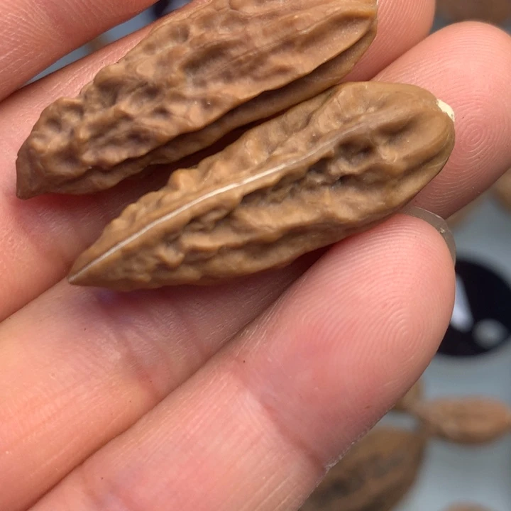 猴头核桃把件拿姐，240