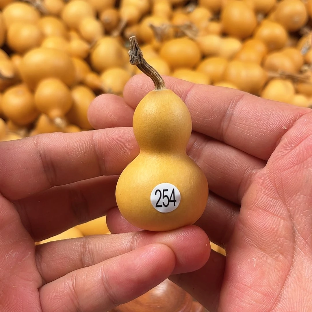 一葫芦葫芦葫芦葫芦254