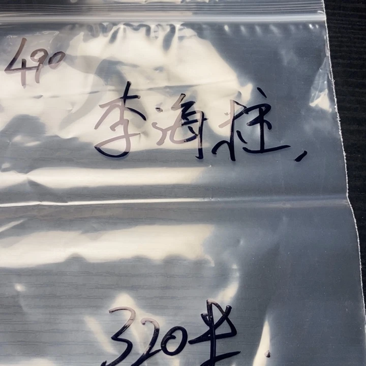 李***柱小桃核散籽批发300
