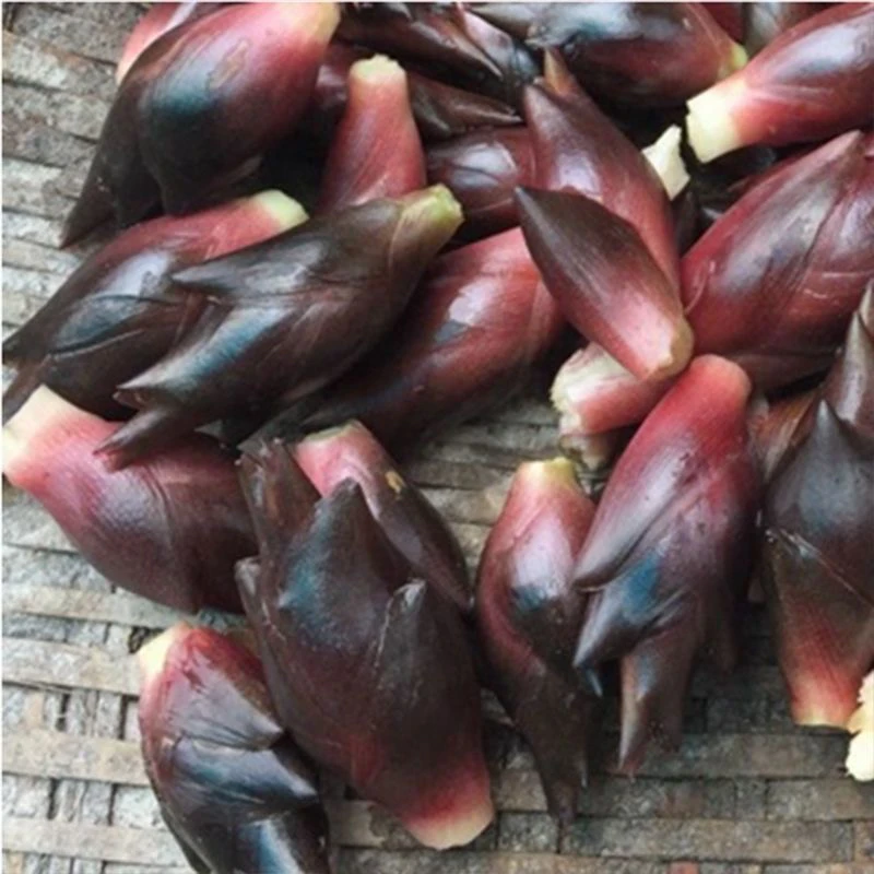 恩施特产新鲜洋荷姜农家自种现挖发货顺丰快递包邮