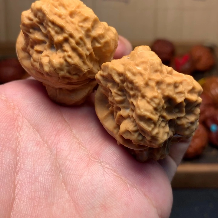 文玩核桃把件42至尊蟾王