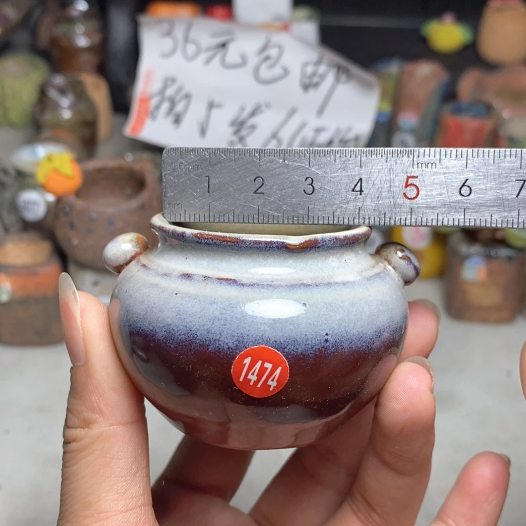 拍5送一个小礼物