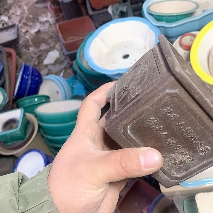 紫砂我要不就是你一