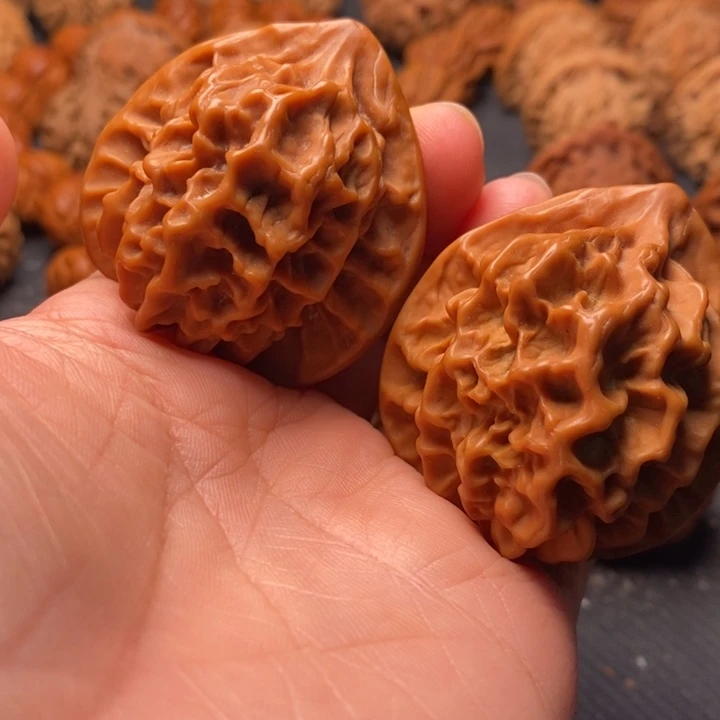 秦岭野生文玩核桃