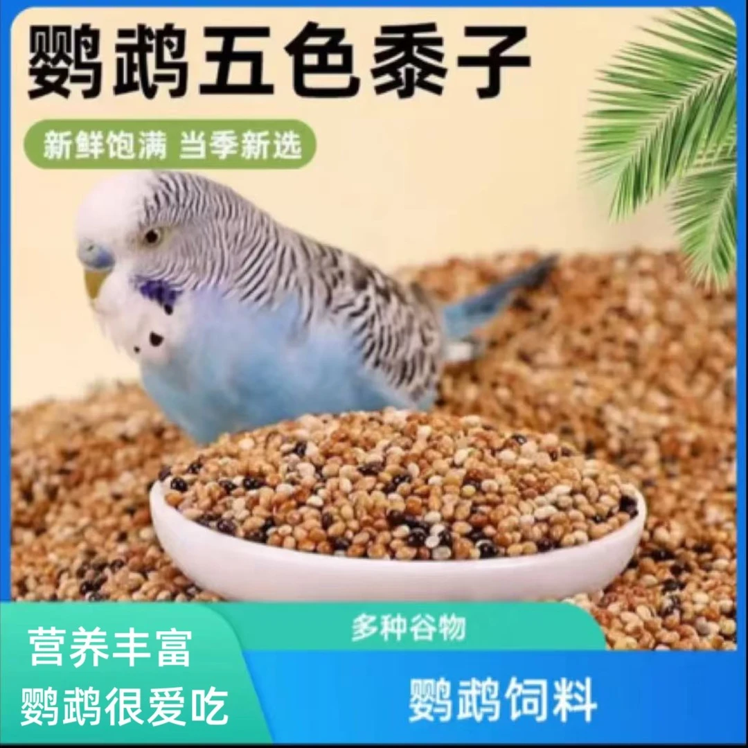 营养鸟粮鹦鹉鸟粮营养混合带壳黄谷子鸟食虎皮鹦鹉饲料