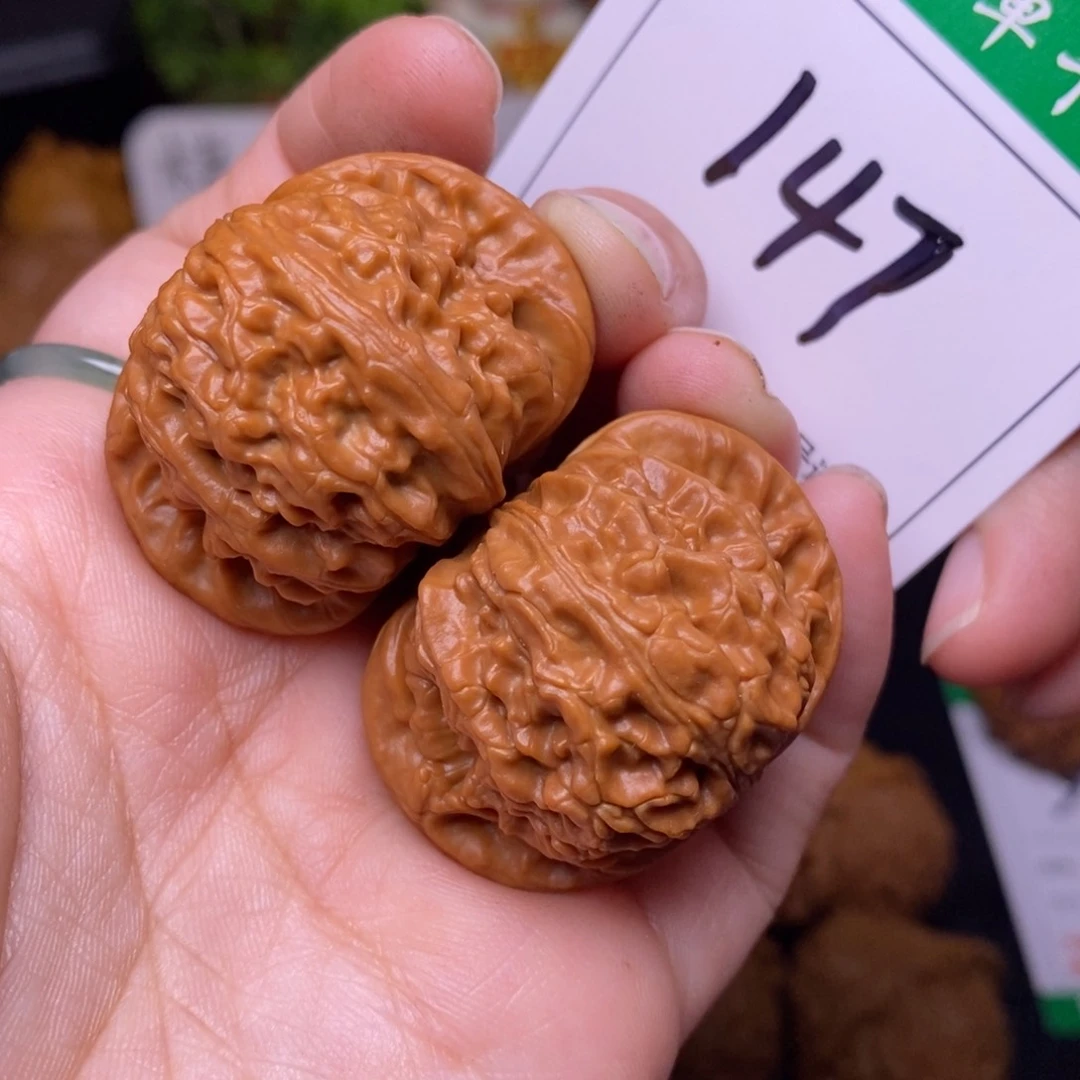 把件文玩核桃147白狮子3.8