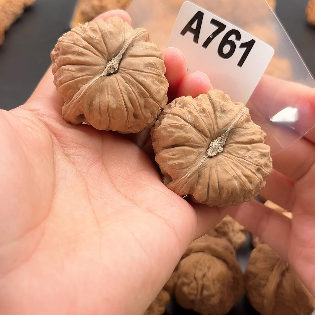 龙***焱桃核把件南瓜福利44