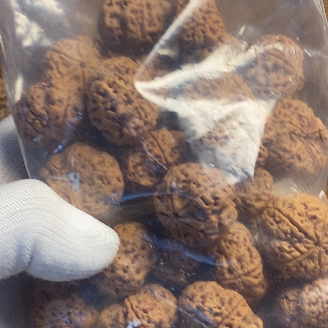 金刚菩提吊坠1…………