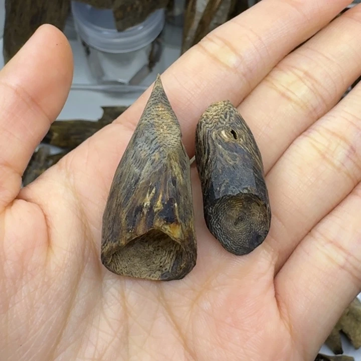 紫***晶楠木奇楠天然树钉6克