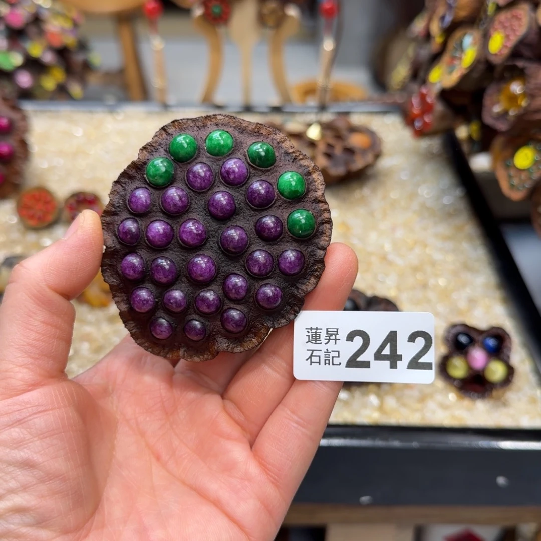 人***瓜242莲蓬摆件 莲蓬