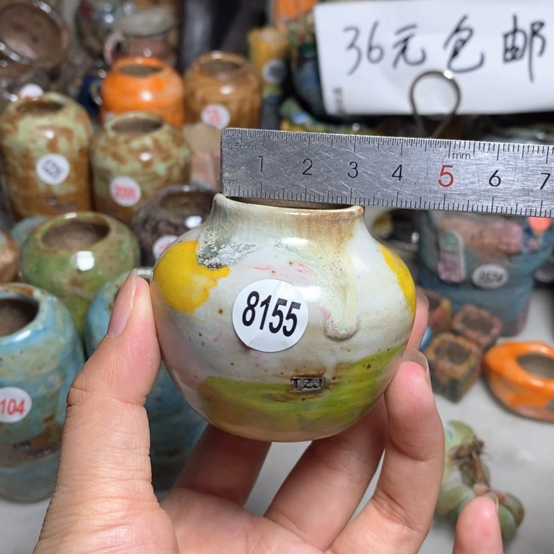 拍5送一个小礼物