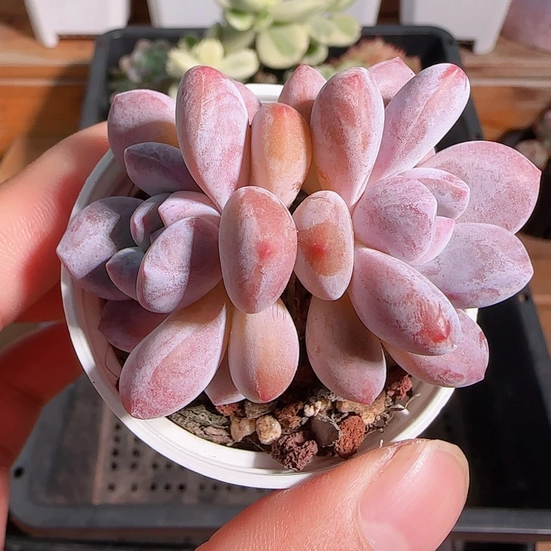 1106--105福利福利