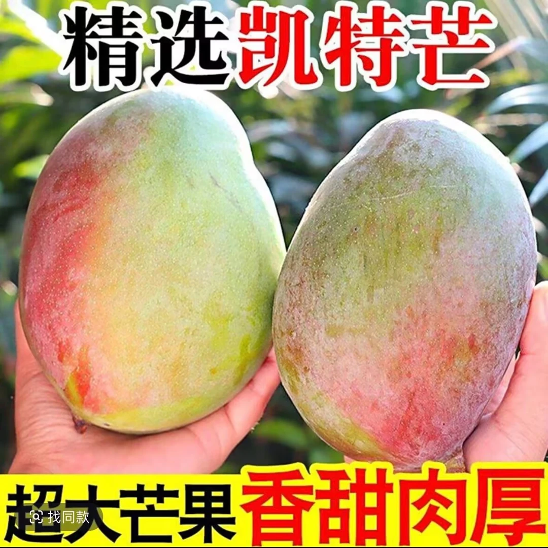 当季新鲜芒果产地直发凯特芒果清甜软糯