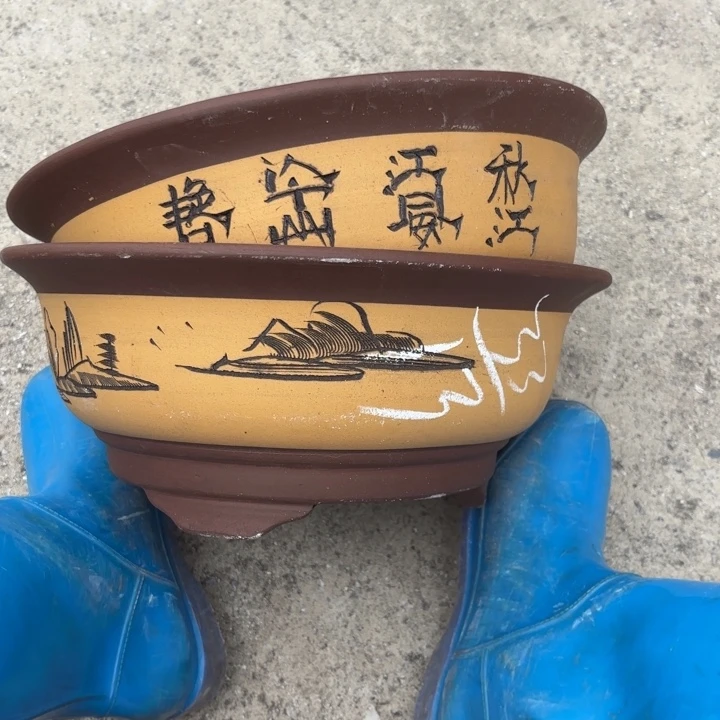 花盆紫砂紫砂的花