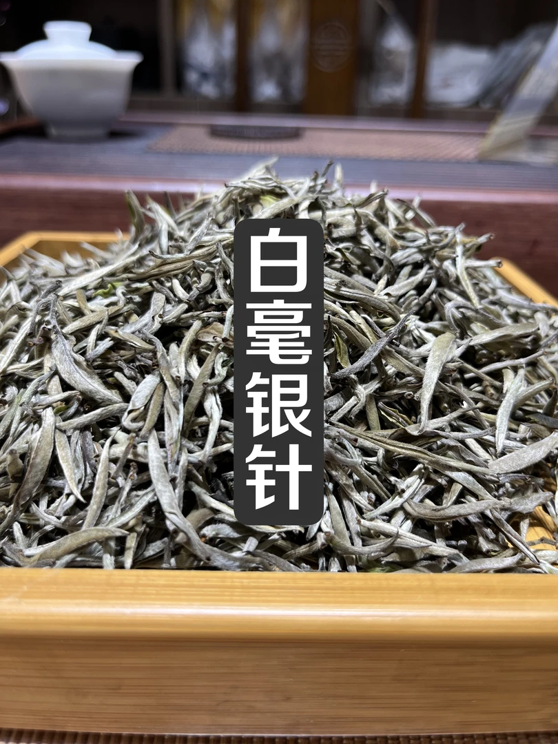 2025年高山【白毫银针】嫩芽兰花香鲜爽头采独毫香