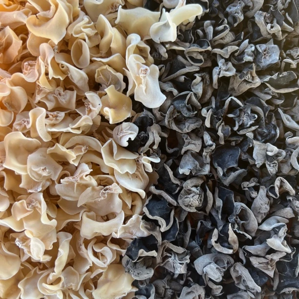 【静静专属】东北黑木耳白木耳《老邵》