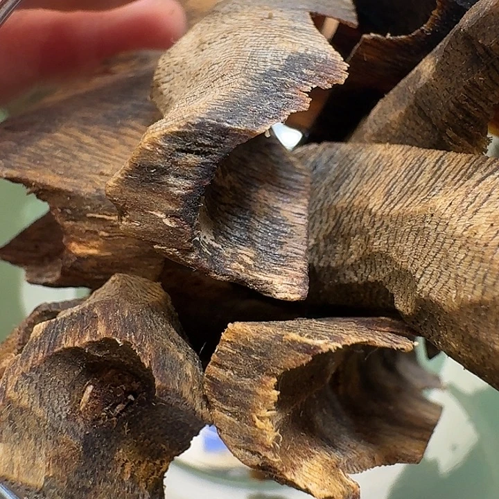 沉香碎屑沉香海南高端张勺子壳子沉水老料31克