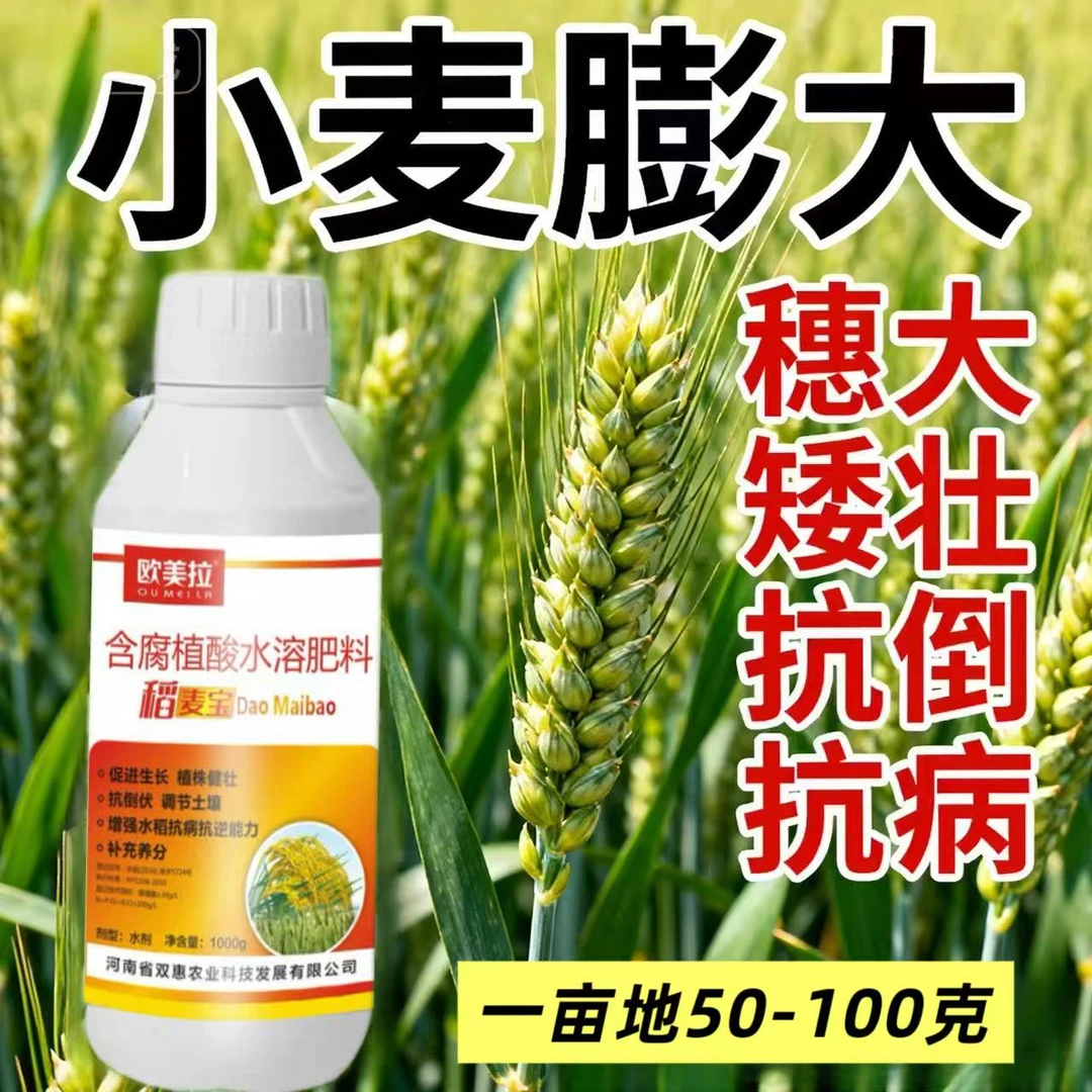 (小麦增产膨大剂)含腐殖酸水溶肥抗倒伏促进灌浆籽粒饱满叶面肥