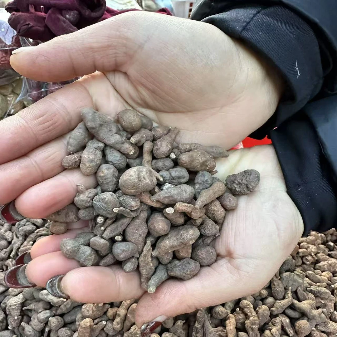 西藏正宗人参果蕨麻