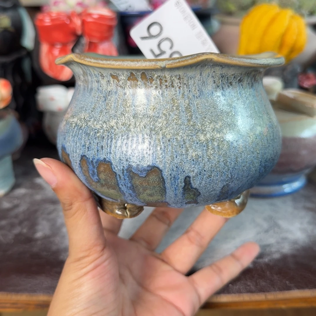 重庆小燕子欢迎大家856