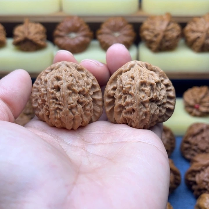 核桃39全品三角白狮子头