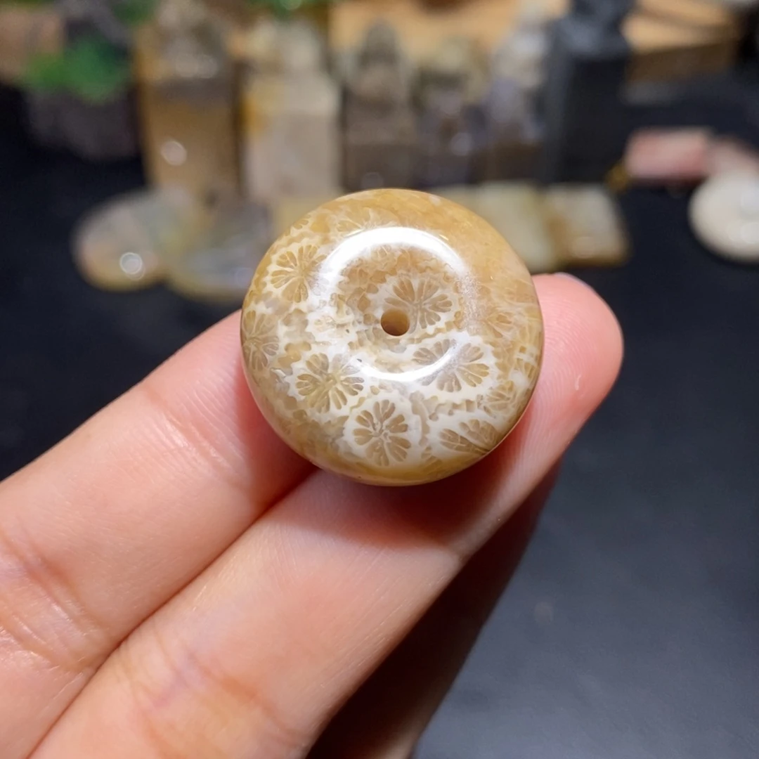 【闪购商品】硅化玉珊瑚玉未镶嵌