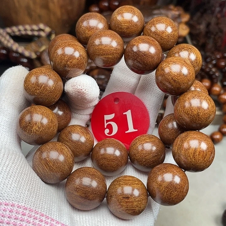 其他贡木多样性发其一20