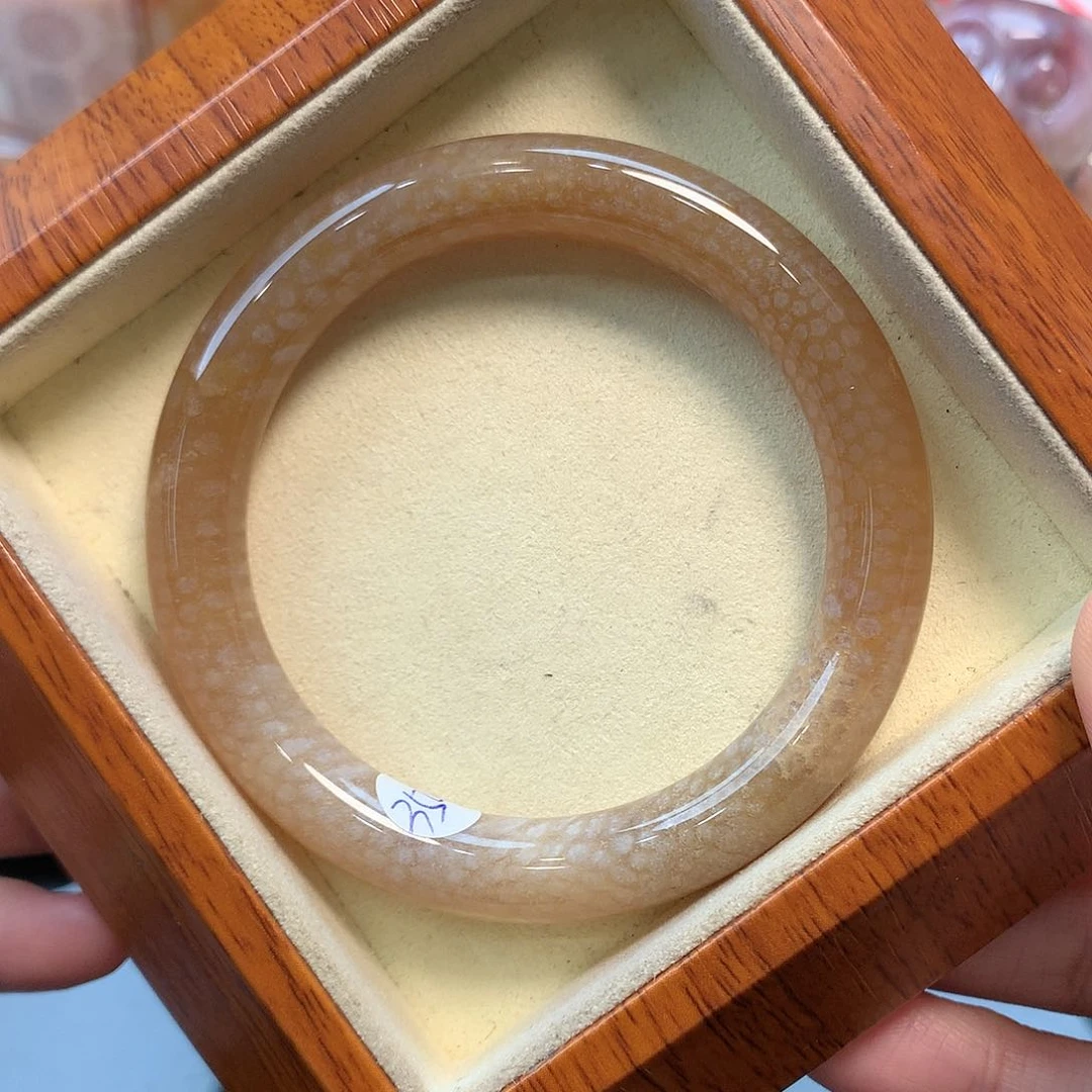 未镶嵌手镯硅化珊瑚（珊瑚玉）53.7口350