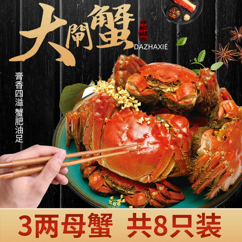 【活蟹】莘森大闸蟹 公蟹4两母蟹3.0两 8只装 鲜活发货 精品大闸蟹
