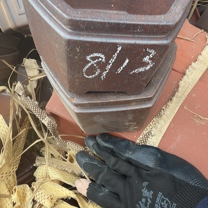 紫砂和花都区将以每年举办大型