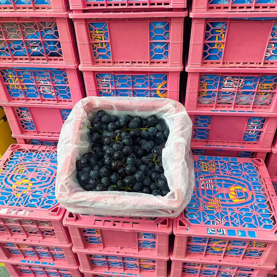 蓝莓葡萄 筐/毛重3斤左右