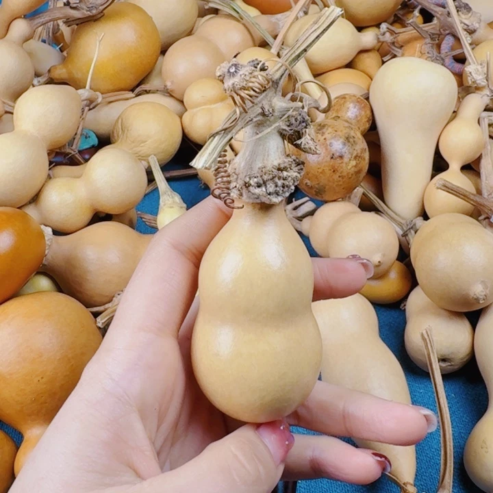 ?****3是实事求是生生世世