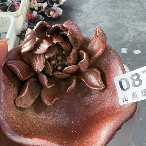 瓷片柴烧柴烧柴烧087
