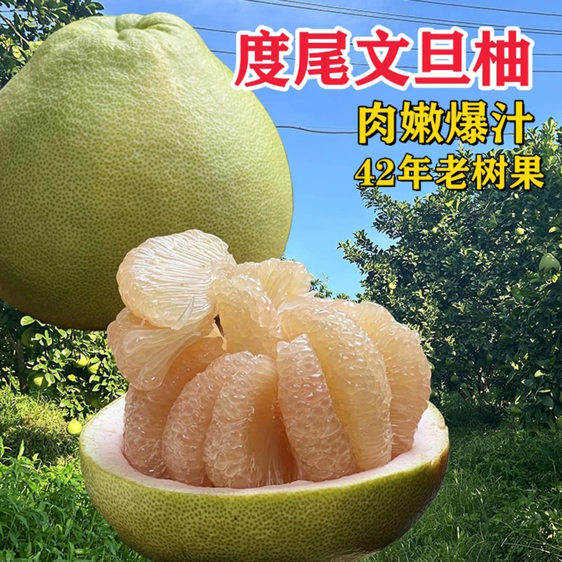 正宗度尾文旦柚多汁香甜新鲜孕妇水果当季福建蜜柚子10斤礼盒装