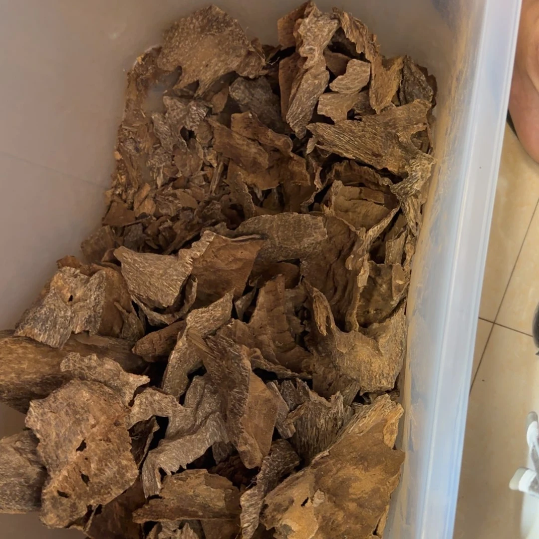 古***松越南越南越南越南10