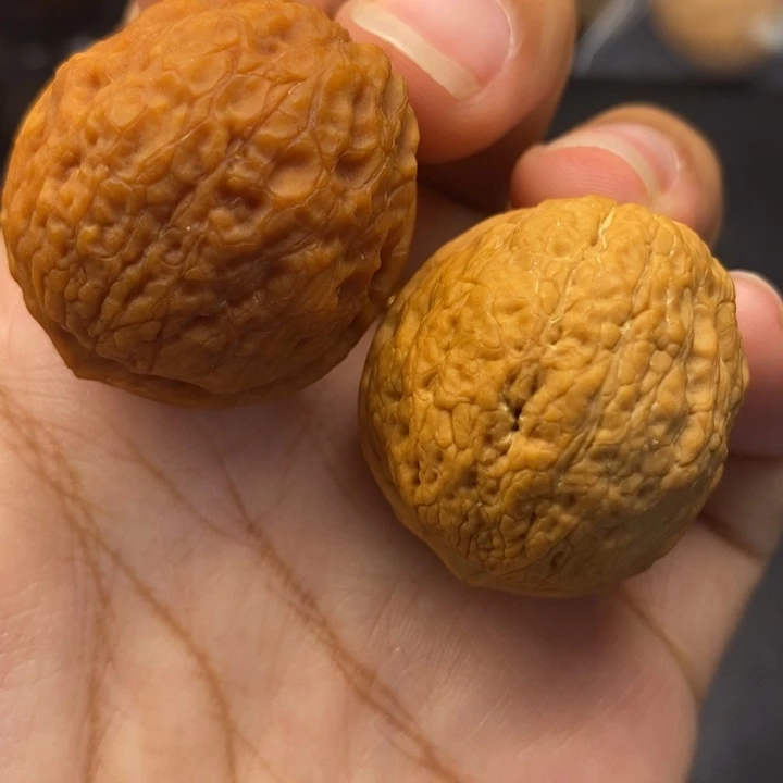 把件文玩核桃34尺密纹元宝