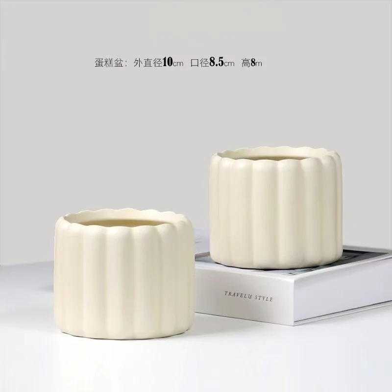 提拉米苏一个花盆【满18包邮】