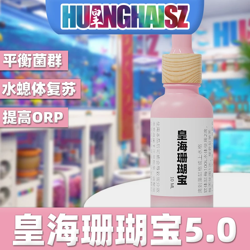 皇海珊瑚宝5.0海缸单苞花花触手恢复共肉水螅体提高ORP平衡菌群