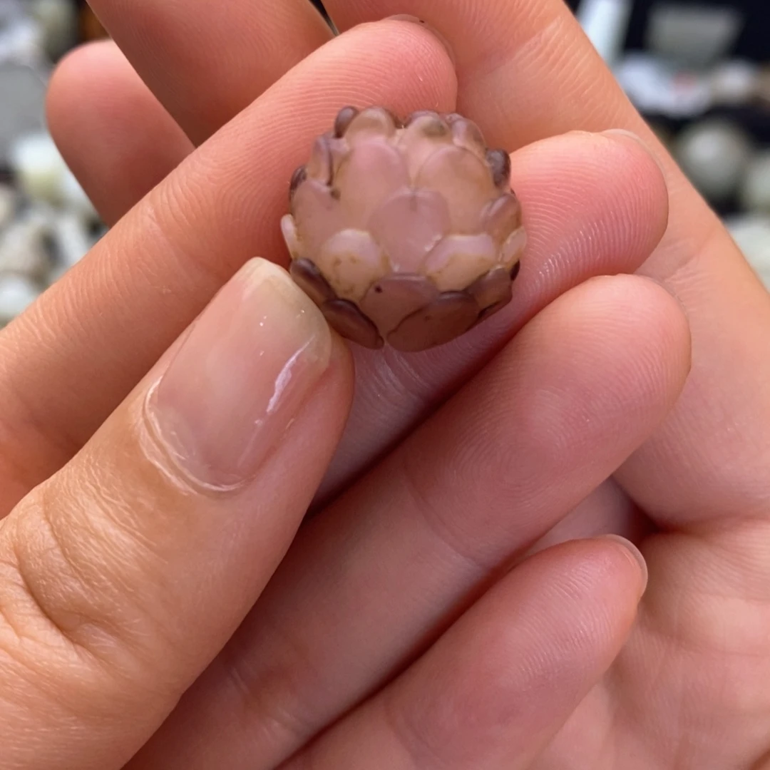 全场漏感谢老师的支持