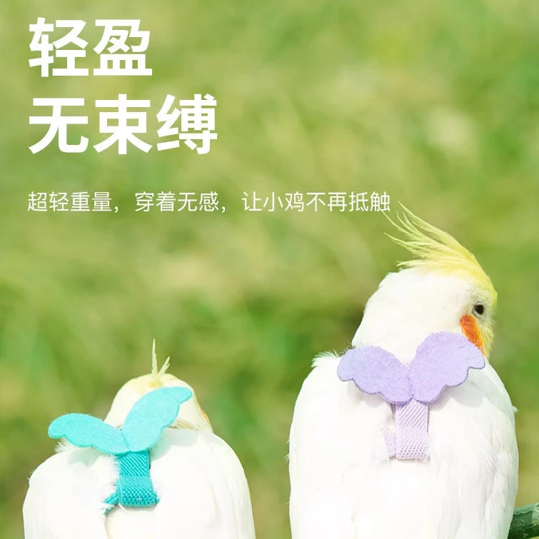 鹦鹉放飞绳玄凤虎皮牡丹牵引绳飞行外出背带遛鸟神器鸟用用品玩具