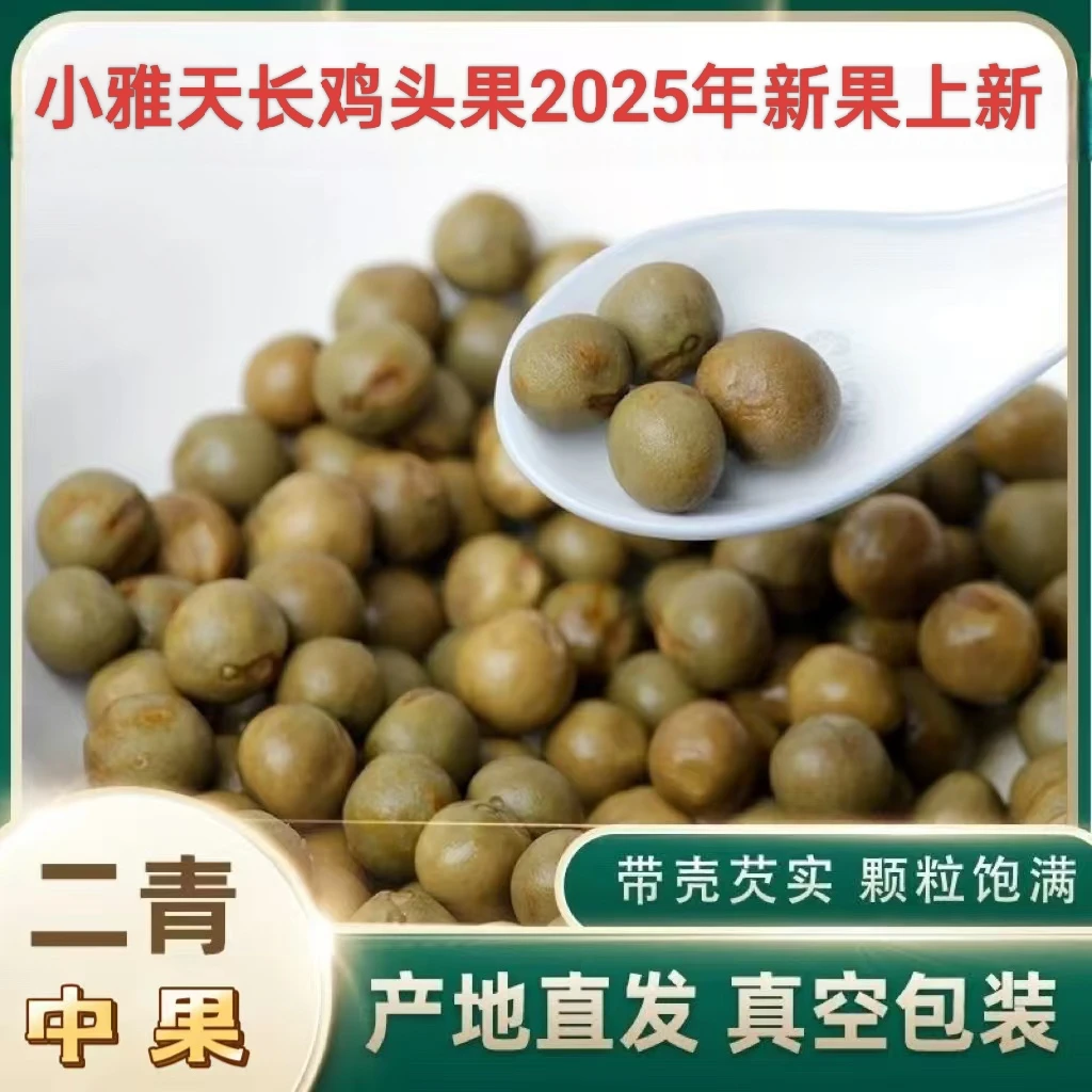2025小雅天长鸡头果二青中小果（9-10mm）（达人专属）