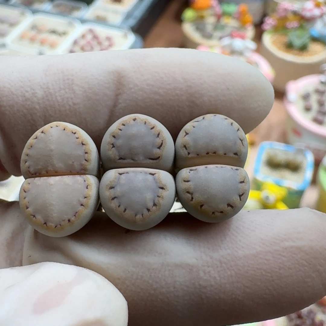 是****1118-011饼干1621.6