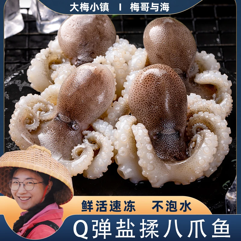 梅哥与海盐揉八爪鱼鲜活速冻盐揉小八爪一包500g发4包连云港发货