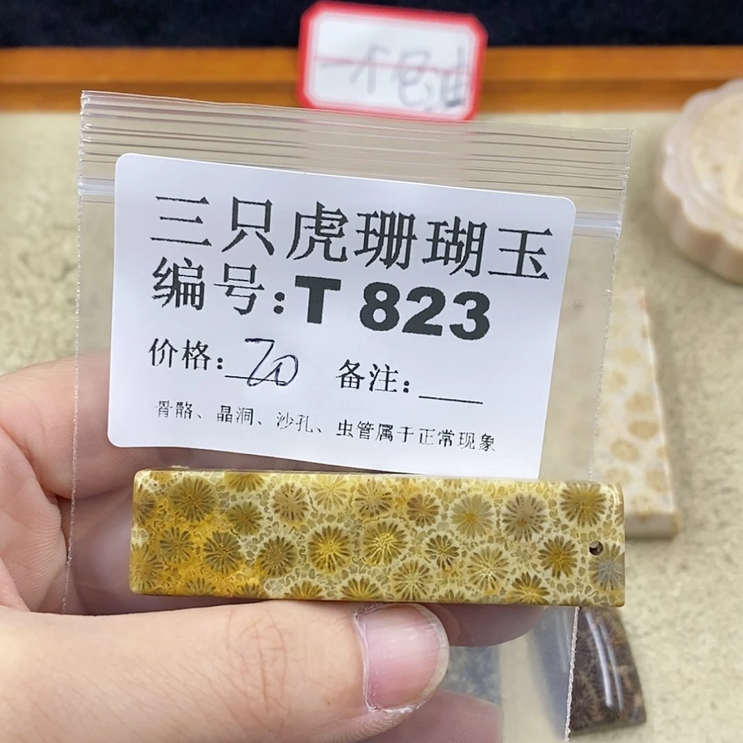 硅化珊瑚（珊瑚玉）1未镶嵌s****u