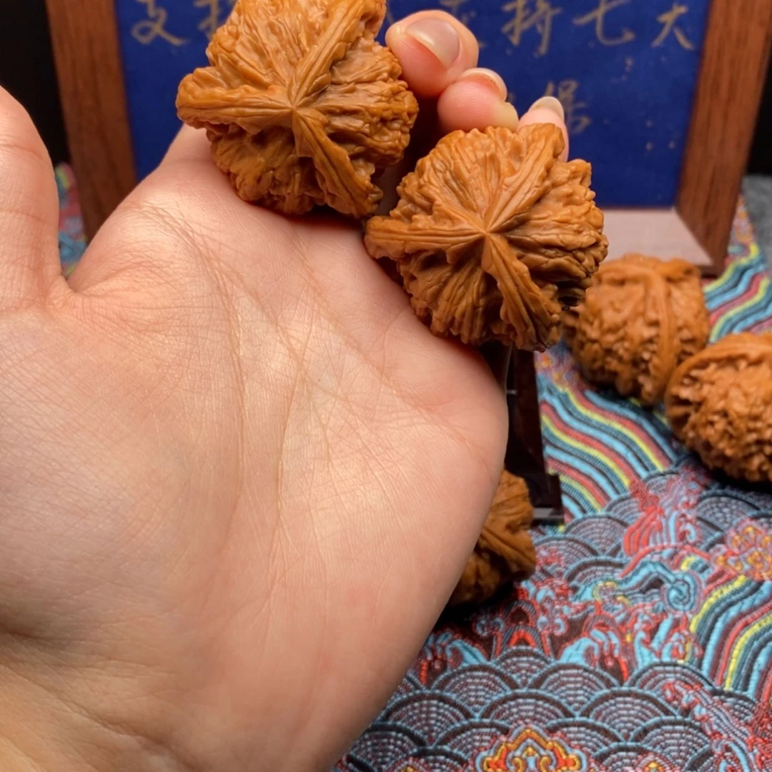 【闪购商品】浮***风